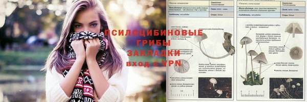 мдпв Бугульма