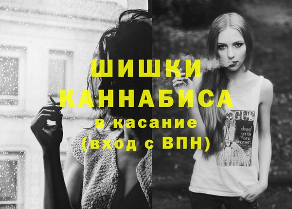 ешки Бронницы