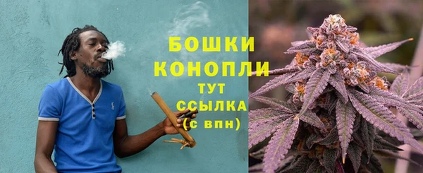 ешки Бронницы