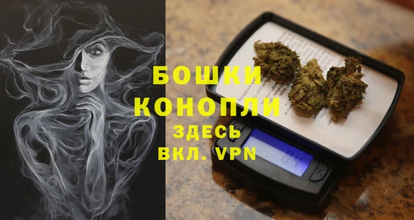 мет Бородино