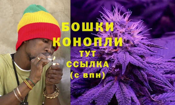 мет Бородино
