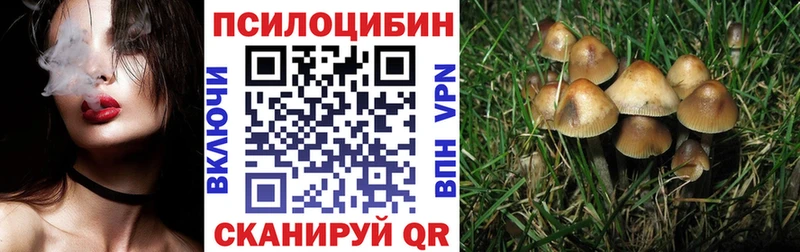 Псилоцибиновые грибы Cubensis  даркнет сайт  Монино 